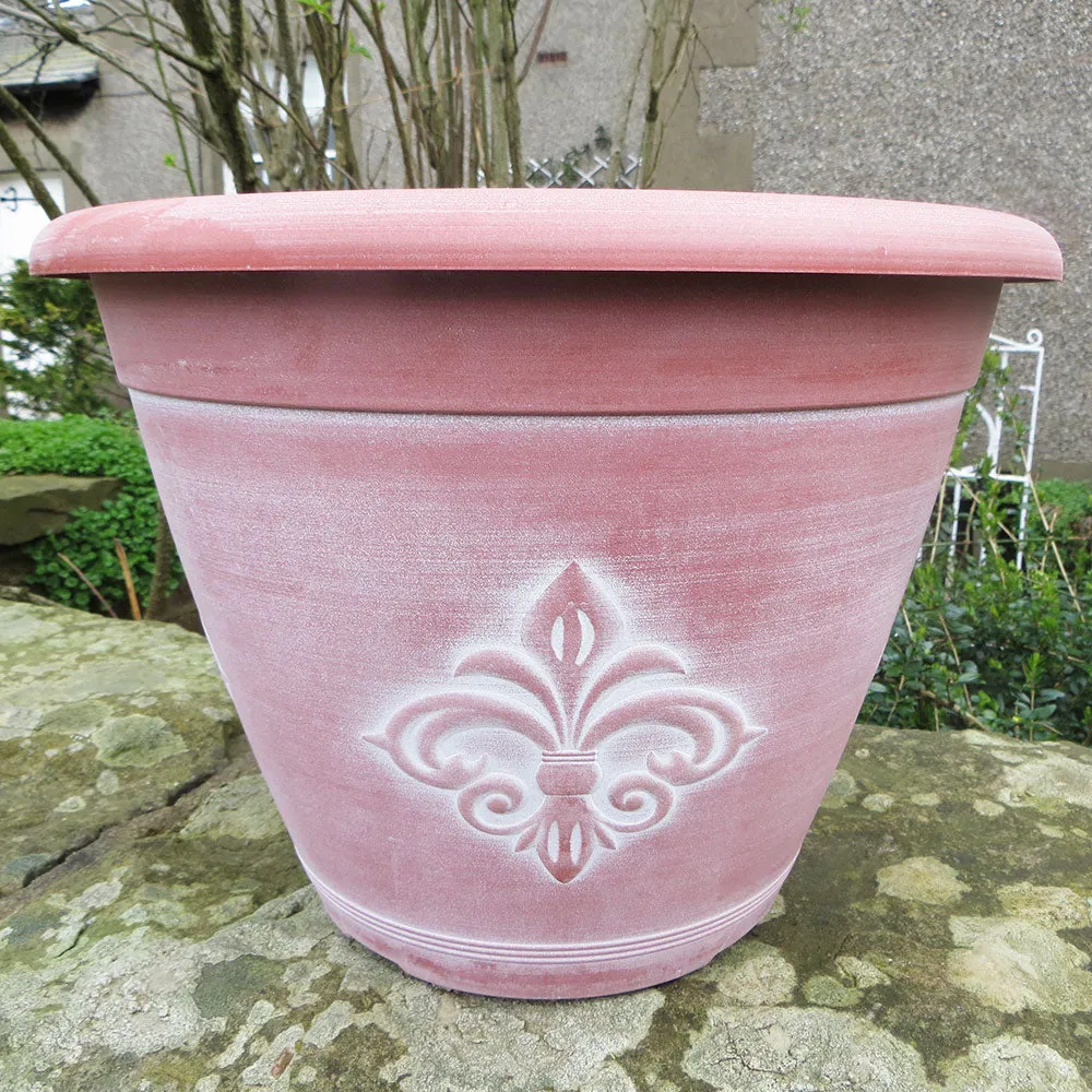 30cm Fleur de Lys Basket Terracotta/White Plant Pot