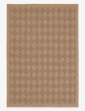 Adisa Indoor / Outdoor Rug