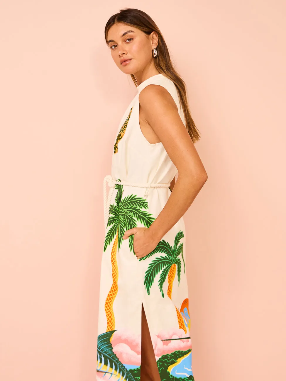 Alemais Samaki Midi Dress in Multi