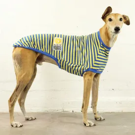 Galgos Del Sol Greyhound Sleeveless Hound-Tee